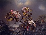 Apple Blossoms and Hummingbird  2 by Martin Johnson Heade